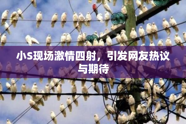 小S现场激情四射，引发网友热议与期待