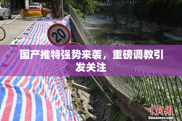 国产推特强势来袭，重磅调教引发关注