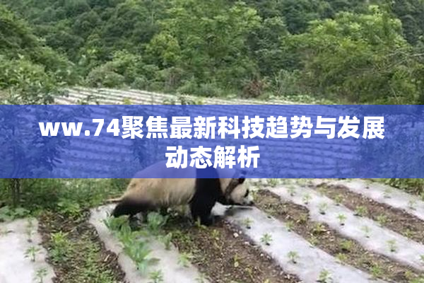 ww.74聚焦最新科技趋势与发展动态解析