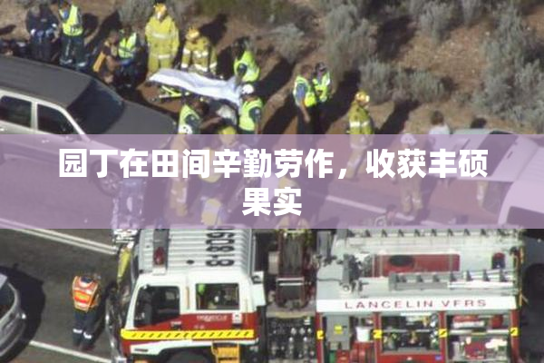 园丁在田间辛勤劳作，收获丰硕果实