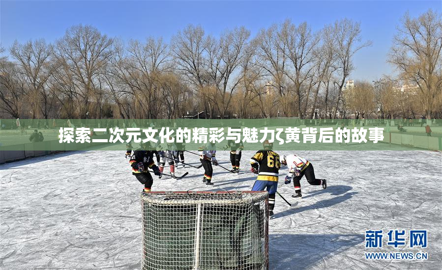 探索二次元文化的精彩与魅力ζ黄背后的故事