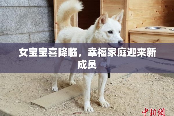 女宝宝喜降临，幸福家庭迎来新成员