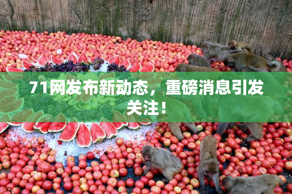 71网发布新动态，重磅消息引发关注！
