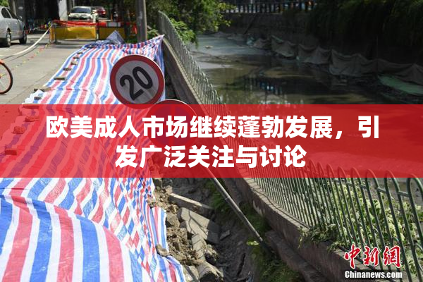 欧美成人市场继续蓬勃发展，引发广泛关注与讨论