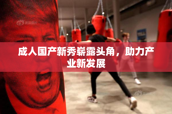 成人国产新秀崭露头角，助力产业新发展