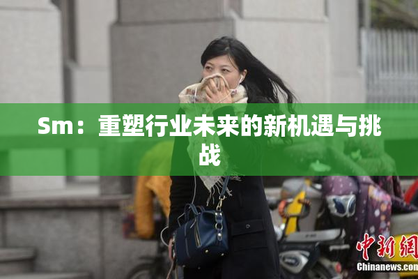 Sm：重塑行业未来的新机遇与挑战
