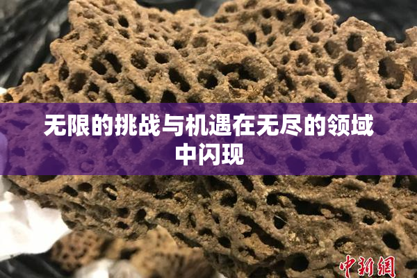 无限的挑战与机遇在无尽的领域中闪现