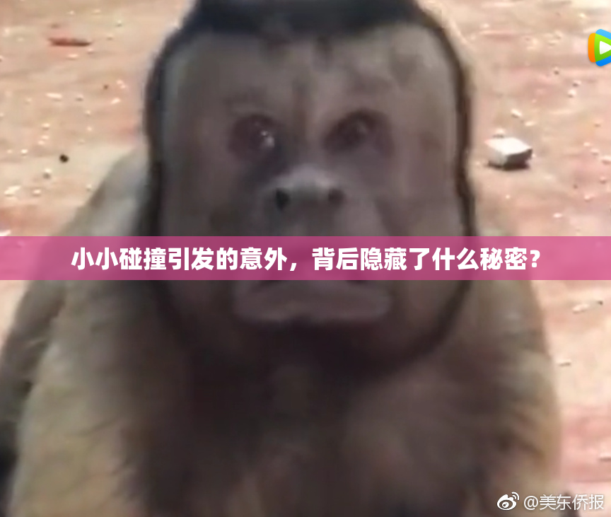 小小碰撞引发的意外，背后隐藏了什么秘密？