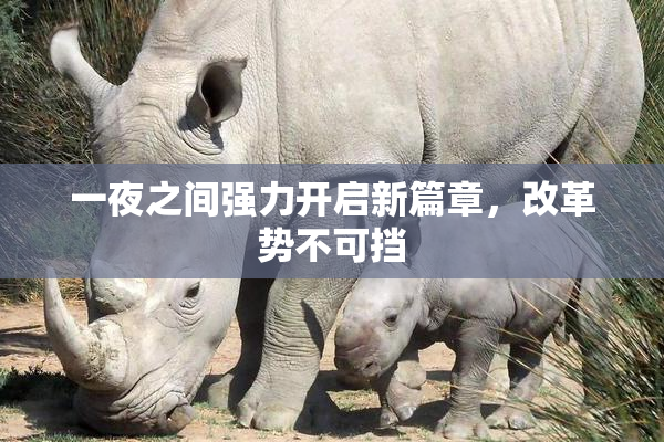 一夜之间强力开启新篇章，改革势不可挡
