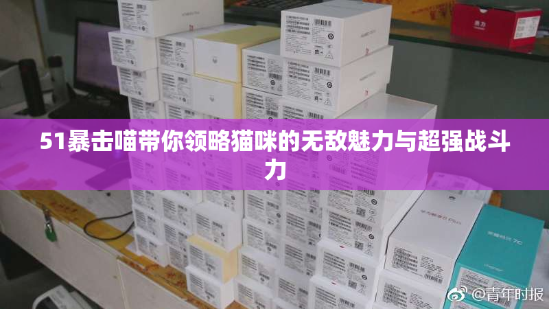 51暴击喵带你领略猫咪的无敌魅力与超强战斗力
