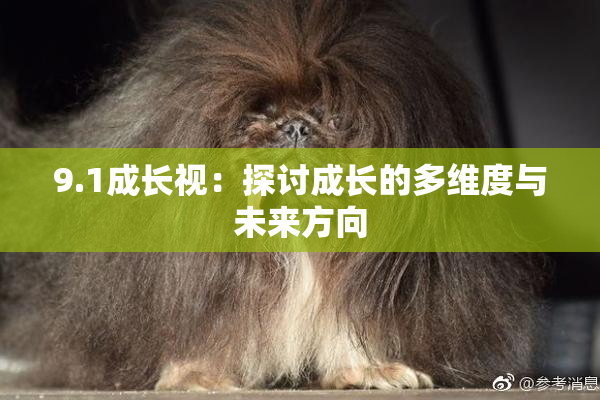 9.1成长视：探讨成长的多维度与未来方向