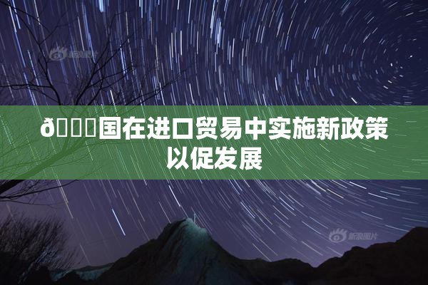 🔞国在进口贸易中实施新政策以促发展