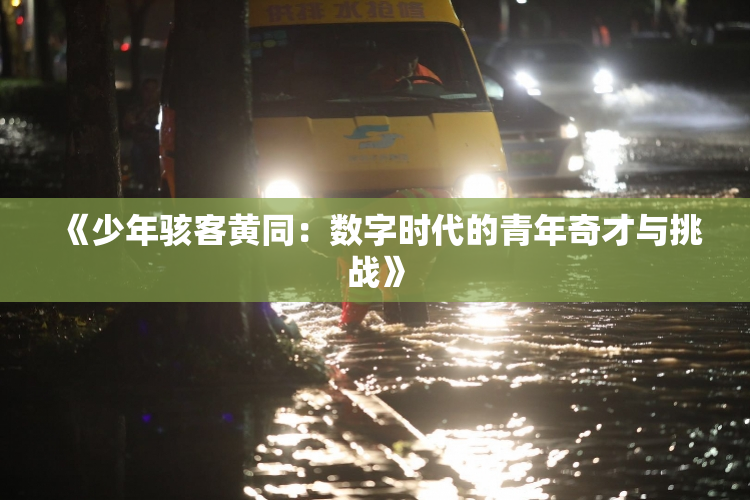 《少年骇客黄同：数字时代的青年奇才与挑战》
