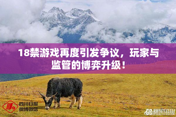 18禁游戏再度引发争议，玩家与监管的博弈升级！