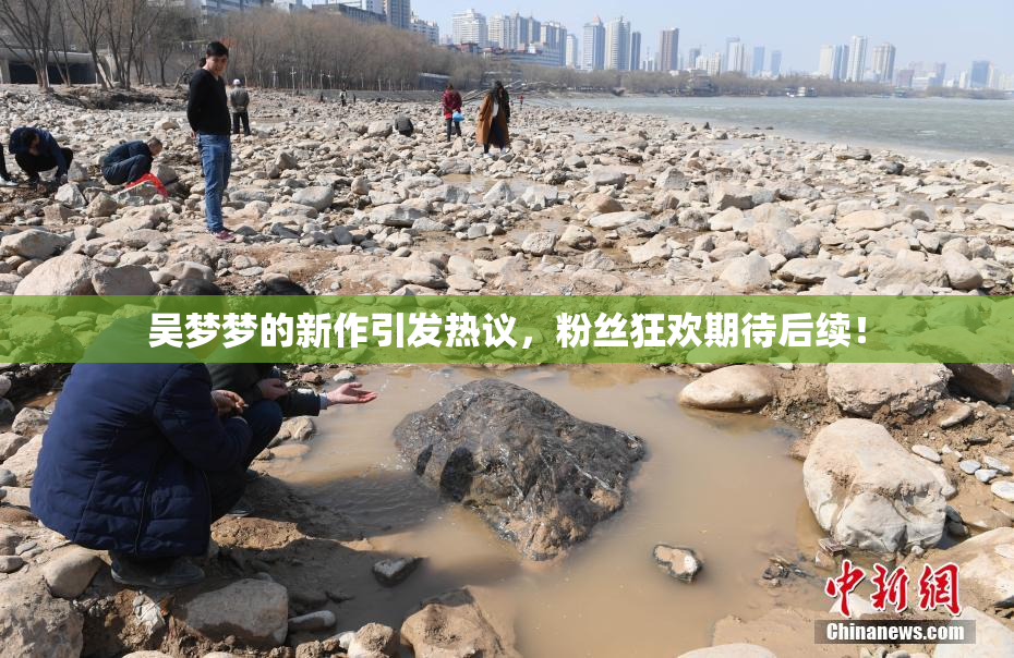 吴梦梦的新作引发热议，粉丝狂欢期待后续！