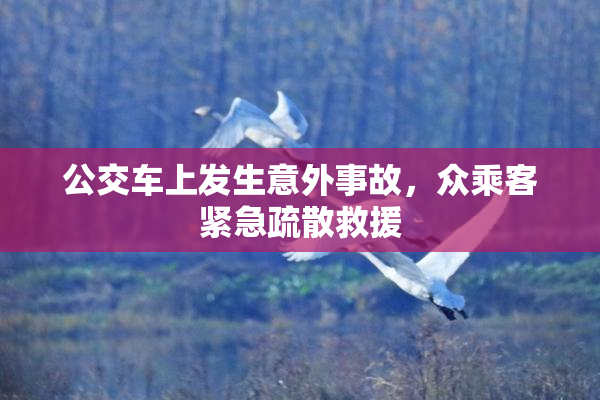 公交车上发生意外事故，众乘客紧急疏散救援