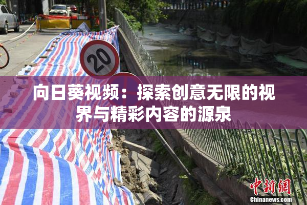 向日葵视频：探索创意无限的视界与精彩内容的源泉