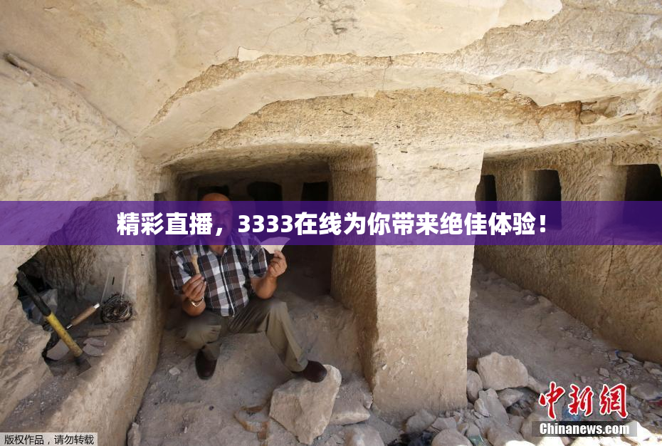 精彩直播，3333在线为你带来绝佳体验！