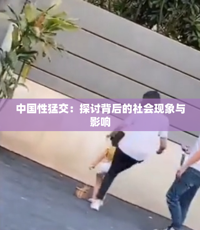 中国性猛交：探讨背后的社会现象与影响