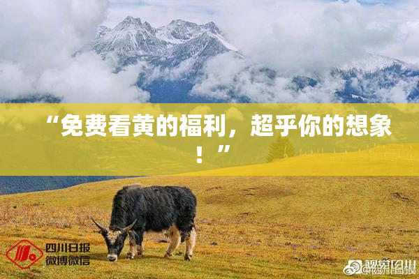 “免费看黄的福利，超乎你的想象！”