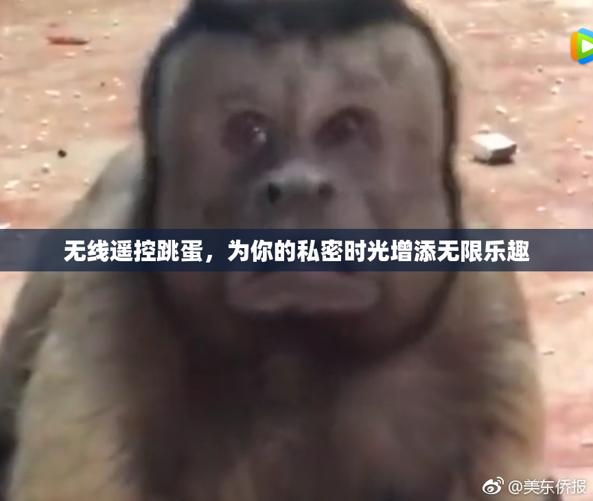 无线遥控跳蛋，为你的私密时光增添无限乐趣