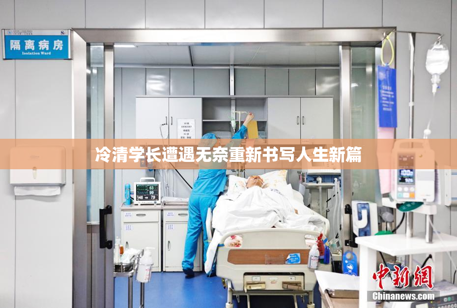 冷清学长遭遇无奈重新书写人生新篇