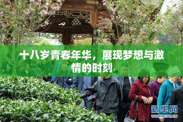 十八岁青春年华，展现梦想与激情的时刻