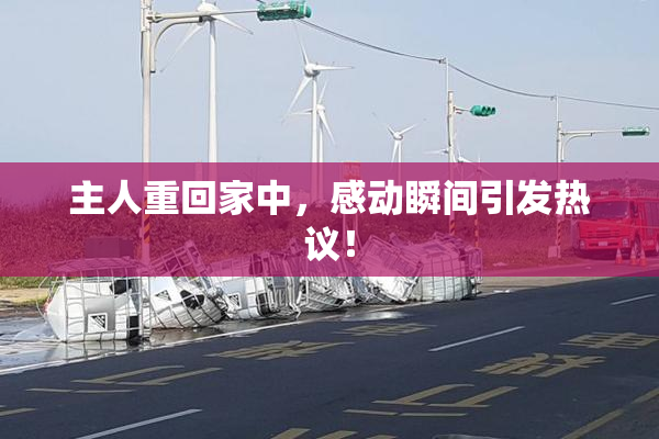 主人重回家中，感动瞬间引发热议！