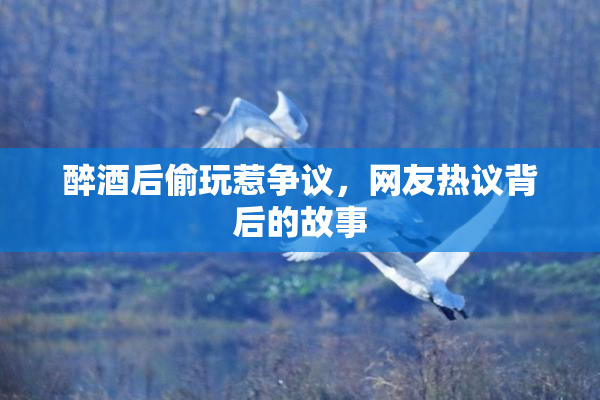 醉酒后偷玩惹争议，网友热议背后的故事