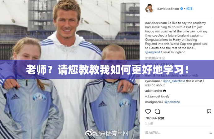 老师？请您教教我如何更好地学习！