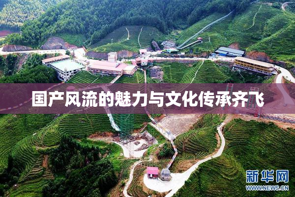 国产风流的魅力与文化传承齐飞