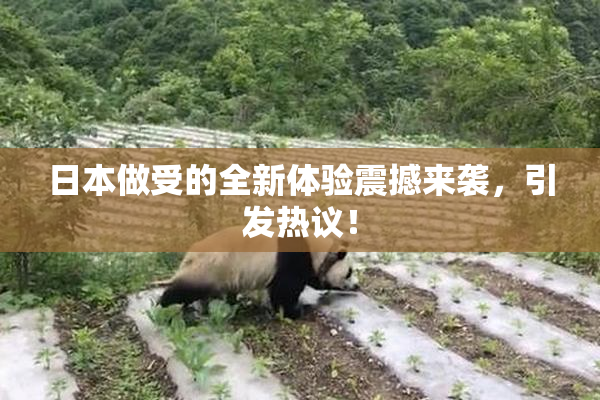 日本做受的全新体验震撼来袭，引发热议！