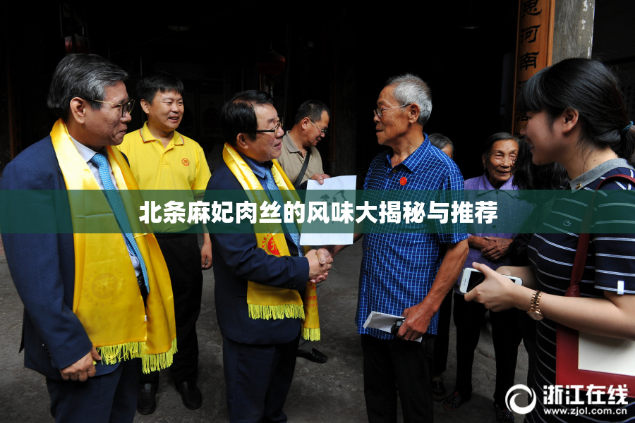 北条麻妃肉丝的风味大揭秘与推荐