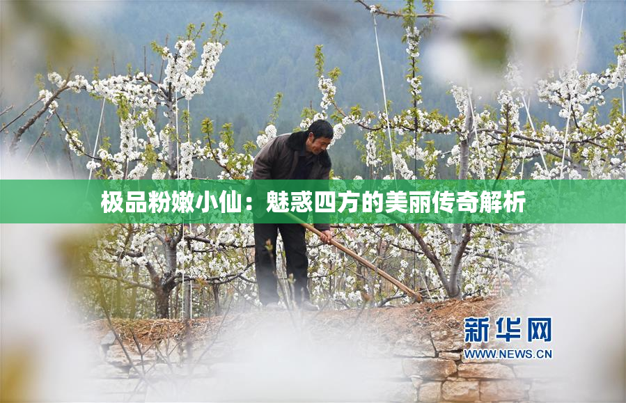 极品粉嫩小仙：魅惑四方的美丽传奇解析
