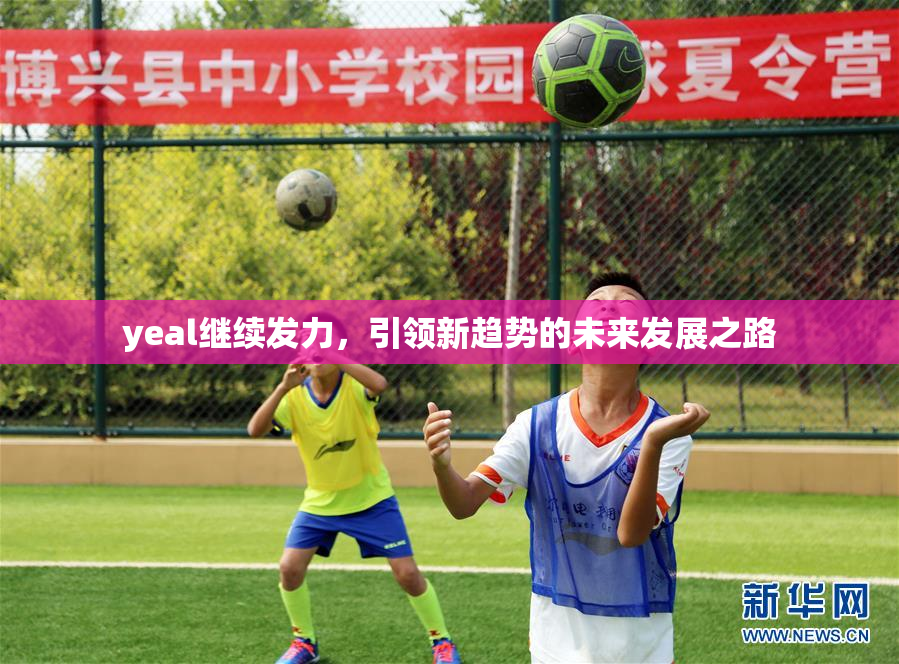 yeal继续发力，引领新趋势的未来发展之路