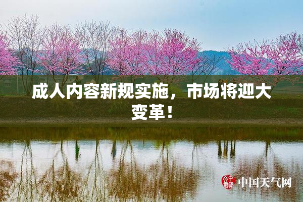 成人内容新规实施，市场将迎大变革！