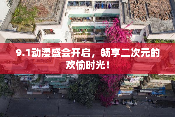 9.1动漫盛会开启，畅享二次元的欢愉时光！