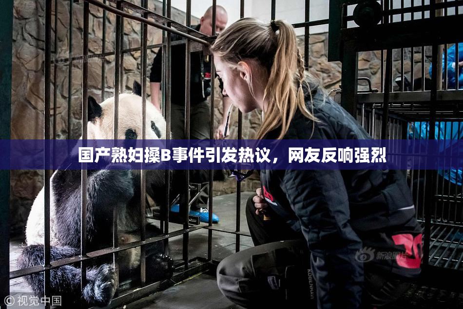 国产熟妇搡B事件引发热议，网友反响强烈