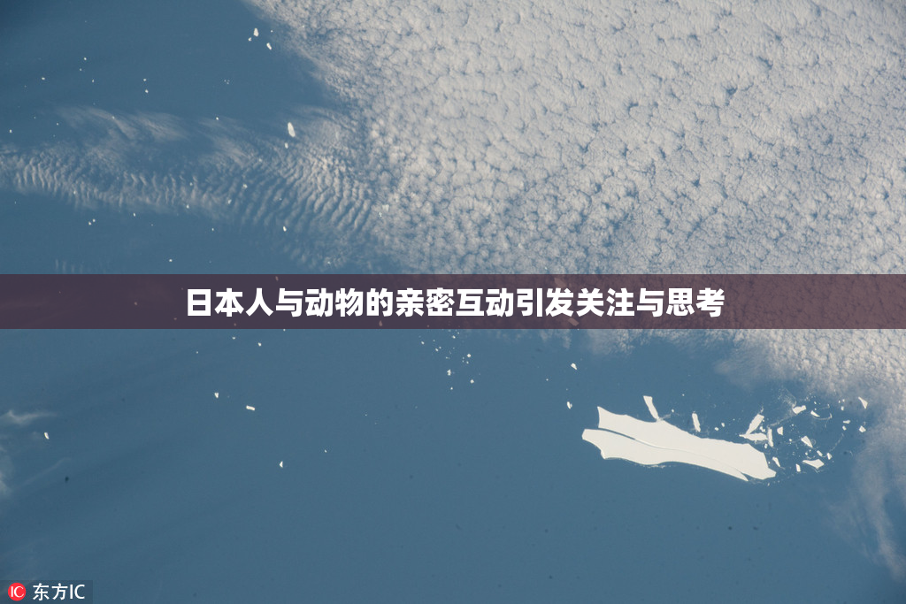 日本人与动物的亲密互动引发关注与思考
