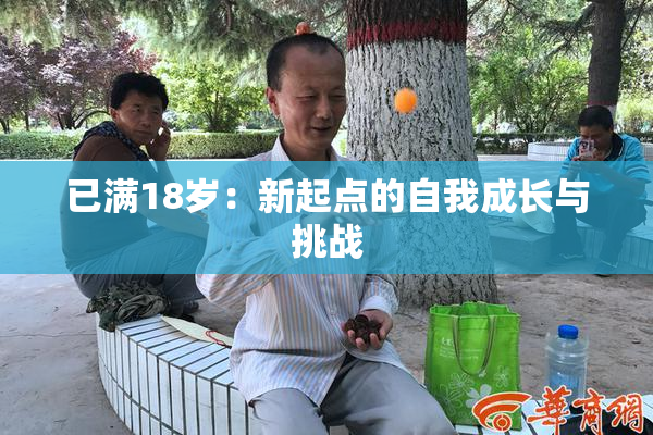 已满18岁：新起点的自我成长与挑战
