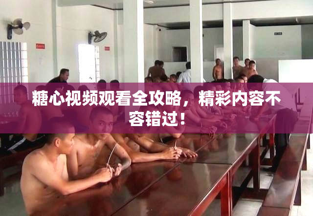 糖心视频观看全攻略，精彩内容不容错过！