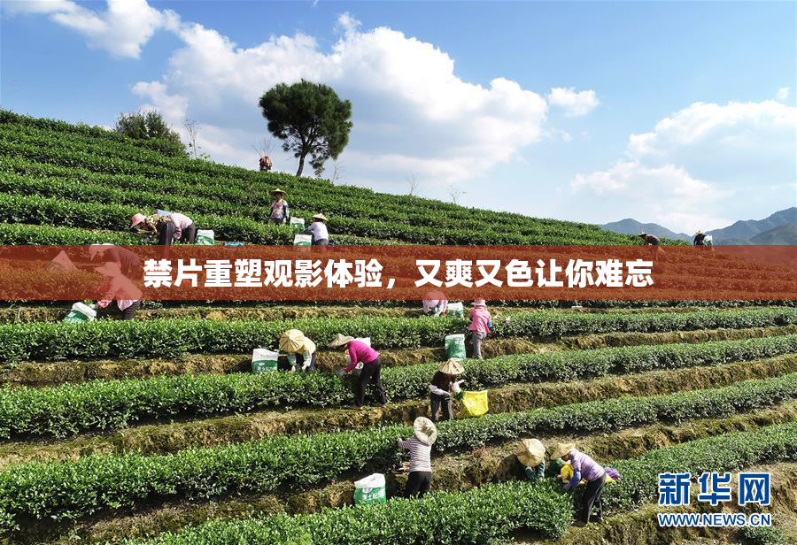 禁片重塑观影体验，又爽又色让你难忘