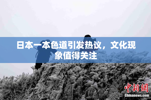 日本一本色道引发热议，文化现象值得关注