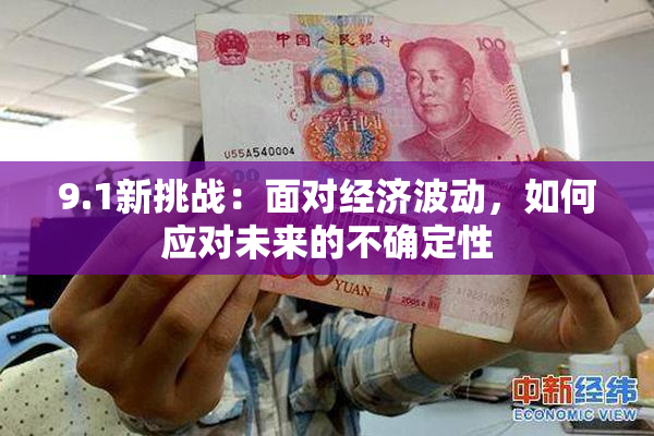 9.1新挑战：面对经济波动，如何应对未来的不确定性