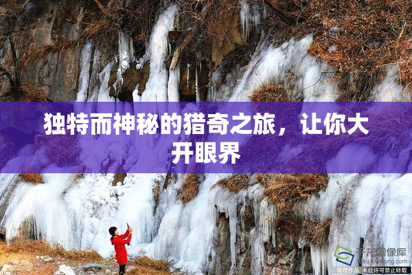 独特而神秘的猎奇之旅，让你大开眼界