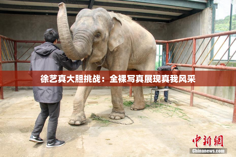 徐艺真大胆挑战：全裸写真展现真我风采