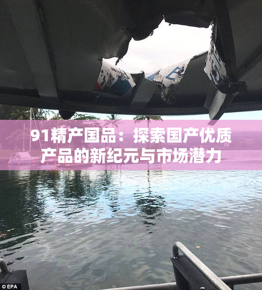 91精产国品：探索国产优质产品的新纪元与市场潜力