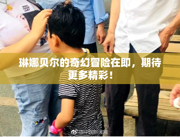 琳娜贝尔的奇幻冒险在即，期待更多精彩！