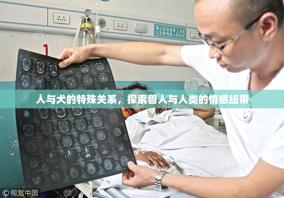 人与犬的特殊关系，探索兽人与人类的情感纽带