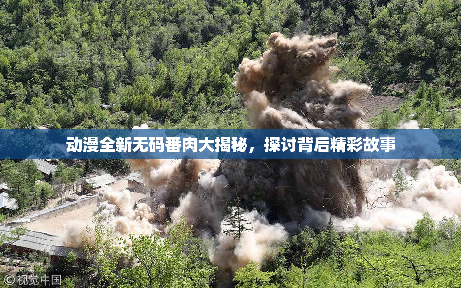 动漫全新无码番肉大揭秘，探讨背后精彩故事